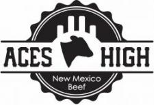 Image of ACES High logo